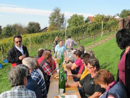 Člani TND Razkrižje obdelujejo vinograd v Šprincu 8